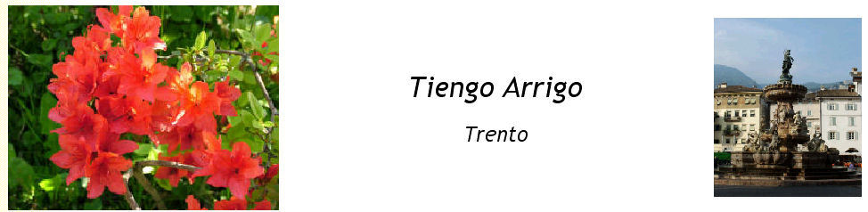 Arrigo Tiengo -- Foto & Disegni